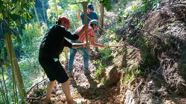 Tres personas trabajan juntas con herramientas en una ladera arbolada