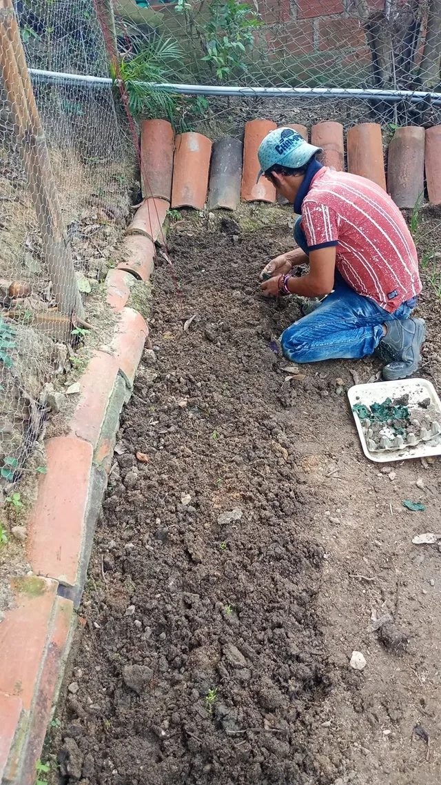 Persona trabajando la tierra en una zona de siembra cercada